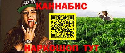стафф Владимир